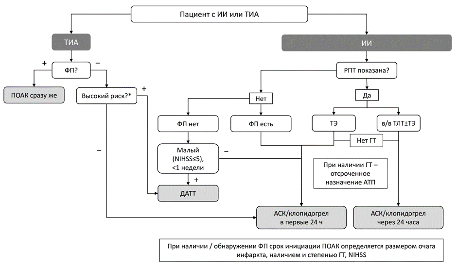 Gozal ayollar porno kasting Curvy mulatto porno
